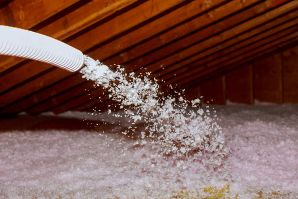 Best Geographic-Specific Insulation Services in Hopwood, PA